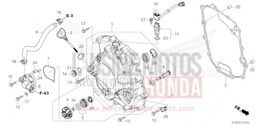 RIGHT CRANKCASE COVER/WATER PUMP NSS350AS de 2025